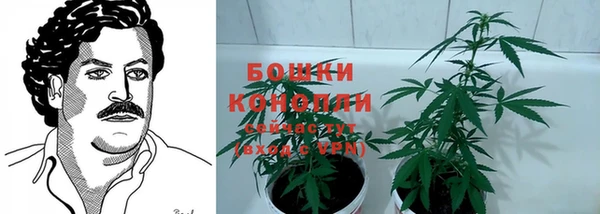 PSILOCYBIN Волоколамск