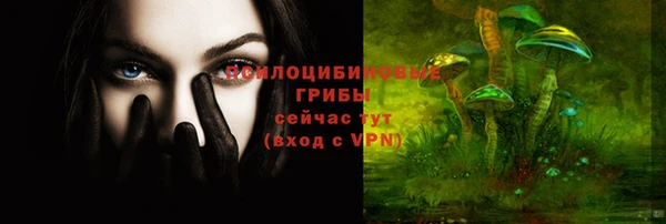 spice Волосово