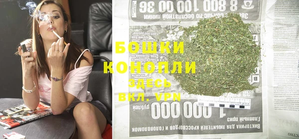 PSILOCYBIN Волоколамск
