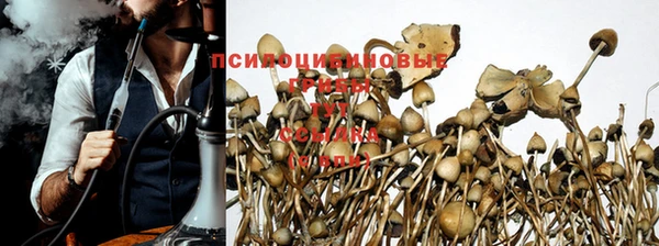 не бодяженный Володарск