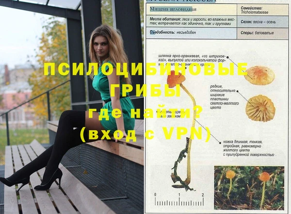 СК Наволоки