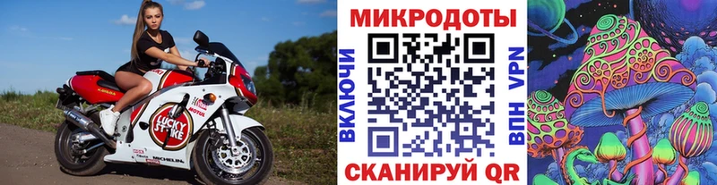 Псилоцибиновые грибы GOLDEN TEACHER  Павловск 